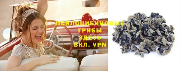 прущие крисы Бронницы