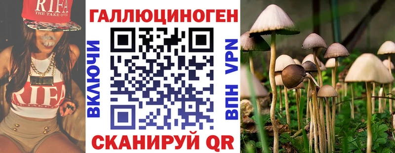mega сайт  Усмань  Галлюциногенные грибы Psilocybine cubensis 